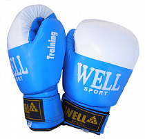 Перчатки для бокса Training кожа BGTR026 